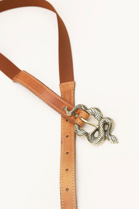 Baby Belt Snake - Brown - Dixie